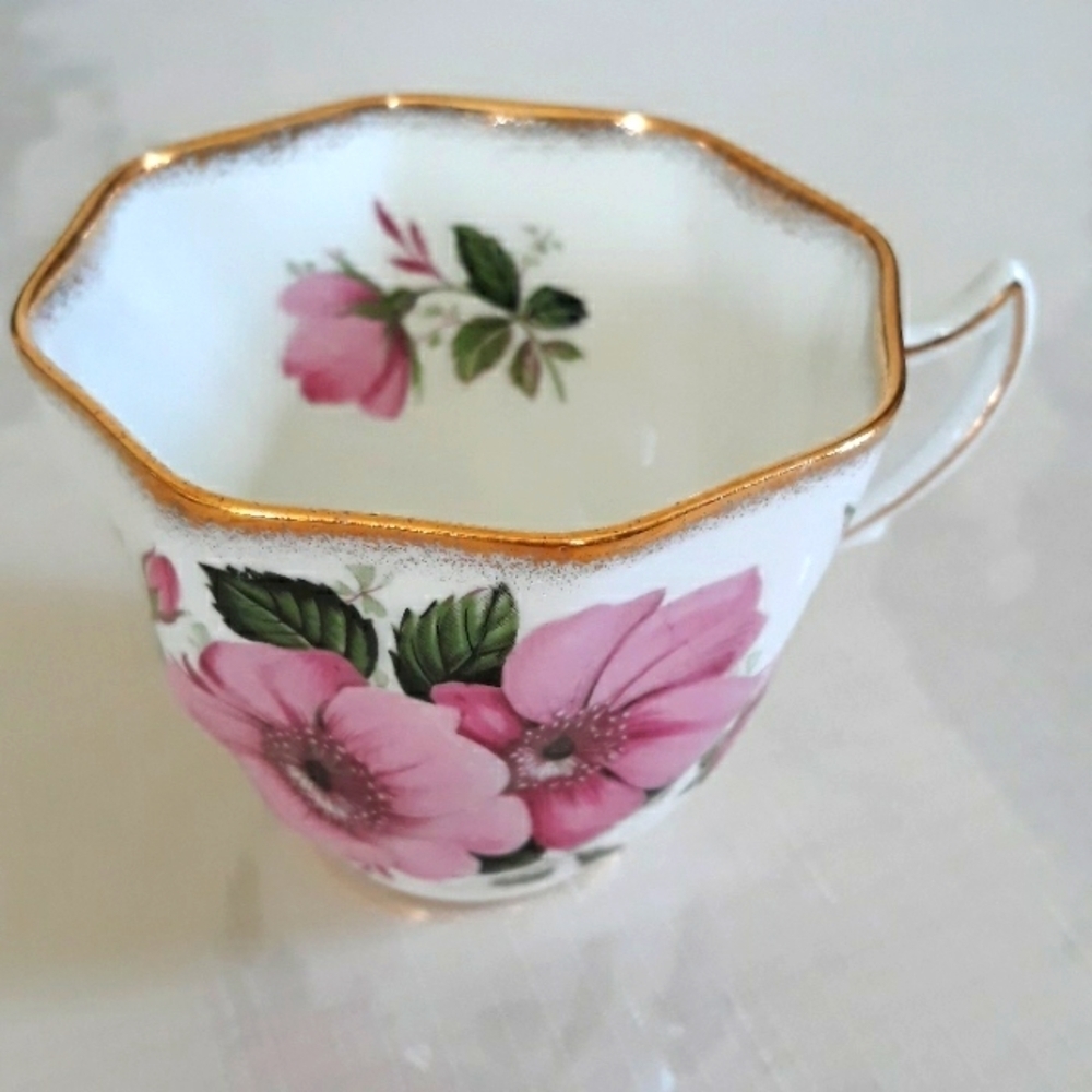 Vintage Rosina Bone China Made in England Rose Desing Tea Cup